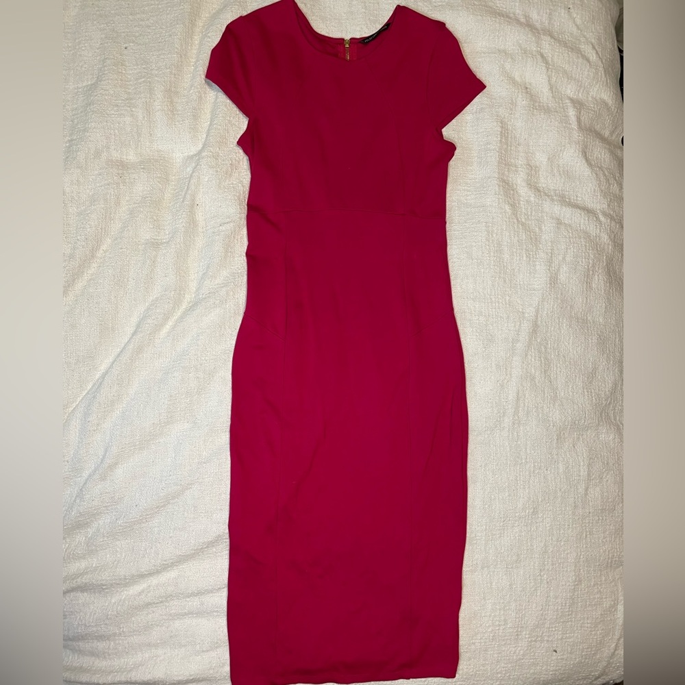 Felicity and Coco Pencil Dress